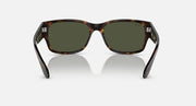 Ray-Ban RB4388 square sunglasses front view with tortoiseshell frame and dark lenses
