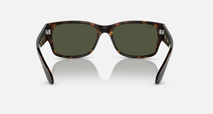 Ray-Ban RB4388 square sunglasses front view with tortoiseshell frame and dark lenses