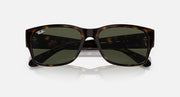 Ray-Ban RB4388 sunglasses front view with tortoiseshell frame and dark tinted lenses