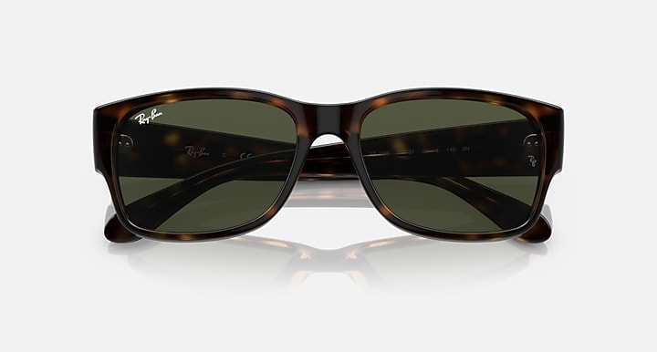 Ray-Ban RB4388 sunglasses front view with tortoiseshell frame and dark tinted lenses