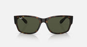 Ray-Ban RB4388 square sunglasses with tortoiseshell frame and dark green lenses