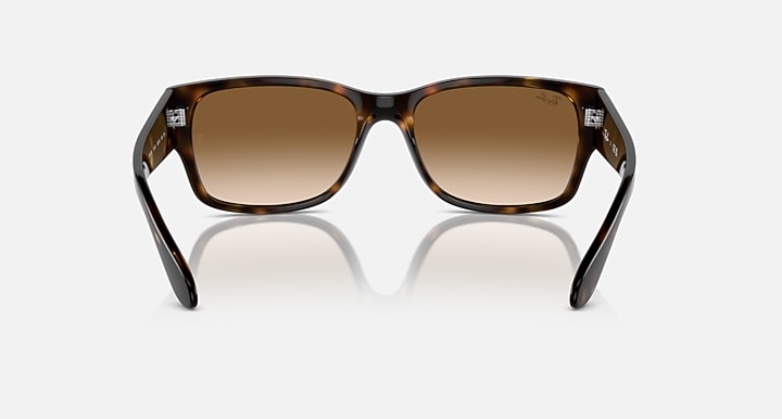 Tortoiseshell full-rim sunglasses with brown lenses, front view