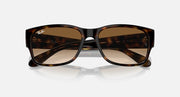 Tortoiseshell sunglasses with brown gradient lenses and Ray-Ban logo accents