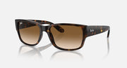 Ray-Ban RB4388 sunglasses, tortoiseshell frame with brown lenses