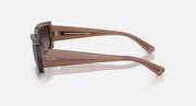 Brown sunglasses side view with dark brown lenses and metal temple bar