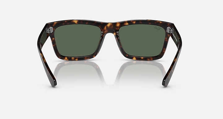 Ray-Ban sunglasses with tortoiseshell frame, dark green lenses, and metal hinge accents