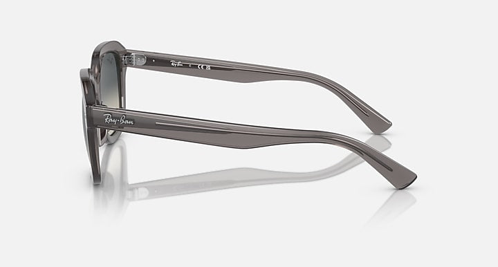 Ray-Ban Erik low-bridge sunglasses, side view of dark frame and thin metal arms