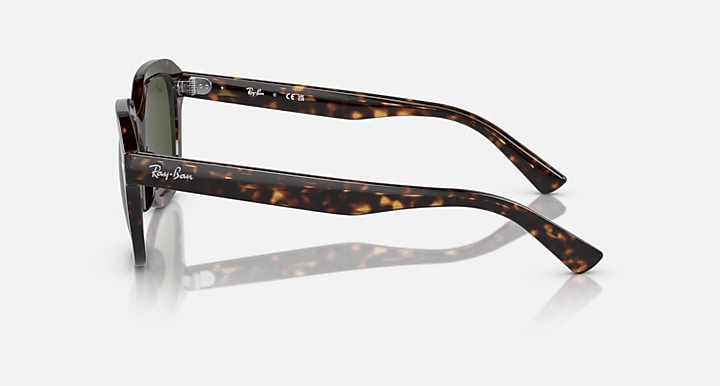Tortoiseshell Ray-Ban sunglasses side profile with green lenses and hinge detail