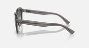 Ray-Ban Erik RB4398 sunglasses side view with gray acetate frame and metal hinges