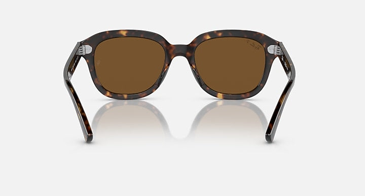 Ray-Ban full-rim sunglasses with dark tortoise frame and brown-tinted lenses