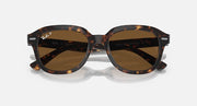 Ray-Ban full-rim sunglasses with dark tortoise frame and dark brown tinted lenses