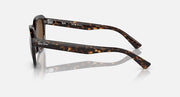 Ray-Ban sunglasses side view with dark tortoise frame and brown-tinted lenses