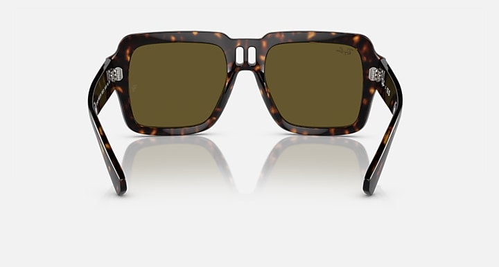 Ray-Ban Magellan sunglasses front view with dark havana frame and olive-brown lenses
