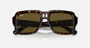 Ray-Ban Magellan sunglasses close front view, dark havana frame with olive-brown lenses