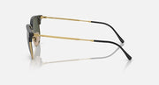 Ray-Ban Clubmaster sunglasses side view with gold metal arms and dark lenses