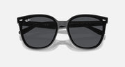 Sunglasses with black frames and dark lenses, front view