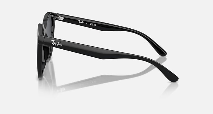 Sunglasses, black frame side profile with dark lens and curved temple