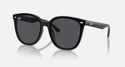 Ray-Ban RB4423D sunglasses with black frames and dark gray lenses
