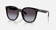Ray-Ban RB4423 sunglasses with black frame and dark purple gradient lenses.