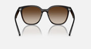 Dark brown square sunglasses with gradient brown lenses and thick front frame