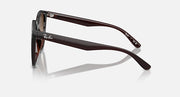 Brown gradient sunglasses shown from the side, dark frame temples with logo