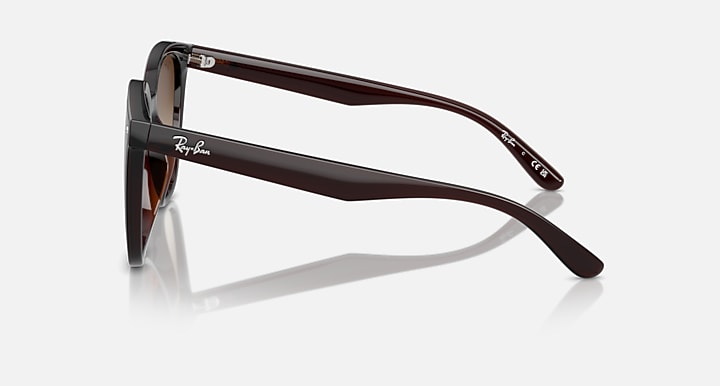 Brown gradient sunglasses shown from the side, dark frame temples with logo