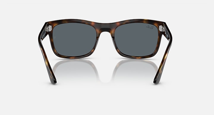 Ray-Ban RB4428 sunglasses front view, tortoiseshell frame with dark gray lenses