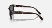 Ray-Ban RB4428 sunglasses side view, Havana-style frame with dark gray lenses