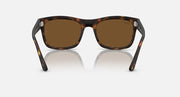 Ray-Ban RB4428 sunglasses with havana tortoiseshell frame and brown square lenses