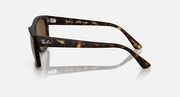 Ray-Ban RB4428 sunglasses, side view with havana frame and brown lens