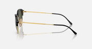 Side view of round sunglasses with black frame and gold temples