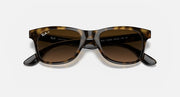 Ray-Ban RB4640 sunglasses, close-up front, tortoise frame, brown-tinted lenses