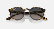 Tortoise round sunglasses back view showing bridge and temples with dark lenses