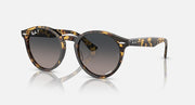 Tortoise round sunglasses with dark grey gradient lenses and slim metal hinge arms