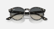 Black round sunglasses back view with dark lenses and tortoise-pattern temple arms