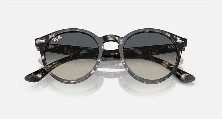 Black round sunglasses back view with dark lenses and tortoise-pattern temple arms