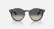 Black round sunglasses front view with dark grey lenses and tortoise-pattern temples