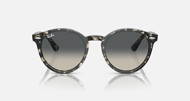 Black round sunglasses front view with dark grey lenses and tortoise-pattern temples