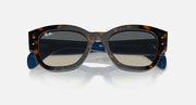 Tortoise sunglasses with dark lenses, blue temple accents and oval lens shape