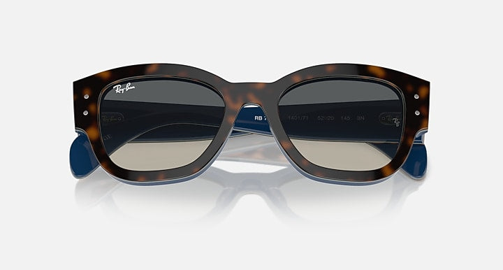Tortoise sunglasses with dark lenses, blue temple accents and oval lens shape