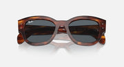 Havana tortoise sunglasses with dark lenses, hinge studs visible on temples