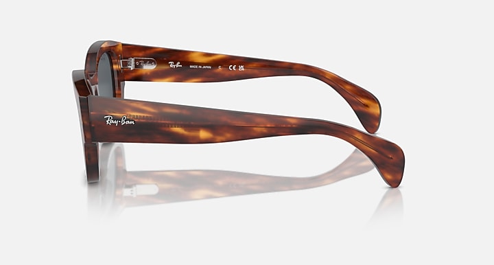Havana tortoise sunglasses, side view with dark lens and branded temple