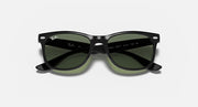 Black sunglasses with green lenses and etched logo on temples, front view