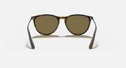 Junior sunglasses front view with dark Havana frame and olive lenses