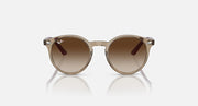 Ray-Ban round sunglasses, front view, tortoise-tone frame and brown lenses