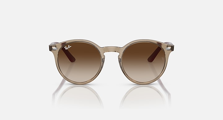 Ray-Ban round sunglasses, front view, tortoise-tone frame and brown lenses