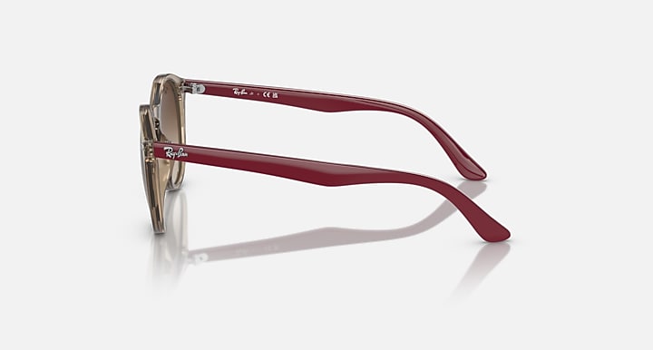 Ray-Ban round sunglasses side view with maroon frame and gradient brown lenses