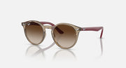 Ray-Ban round sunglasses with tortoise-tone frame and brown gradient lenses