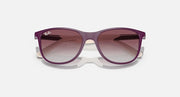 Ray-Ban sunglasses with dark purple frames and tinted gradient lenses