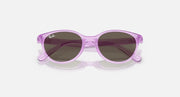 Ray-Ban translucent purple round sunglasses, top view, dark brown lenses